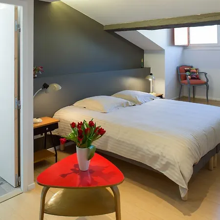דירה Appartement 9 Place D'Alliance Climatisation Manuelle Parking נאנסי